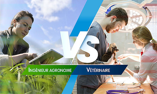 lycéen en classe de seconde ou de première : devenir vétérinaire ou ingénieur agronome ?